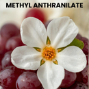 METHYL ANTHRANILATE