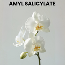 AMYL SALICYLATE (Givaudan)