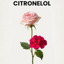CITRONELOL