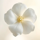 HEDIONE