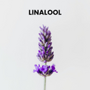 LINALOOL