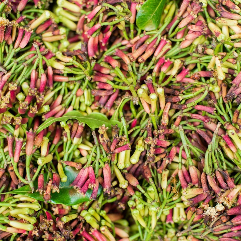 CLOVE LEAVES