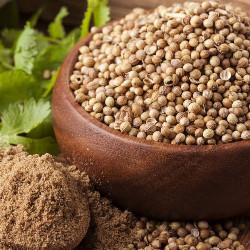 CORIANDER SEED
