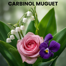 CARBINOL MUGUET
