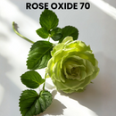 ROSE OXIDE 70