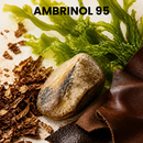 AMBRINOL 95