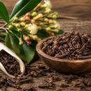 CLOVE TERPENES