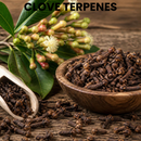 CLOVE TERPENES
