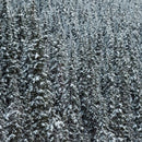 ALDEHYDE ISO C-11 (Givaudan)