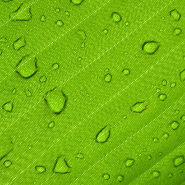 Limetol by Givaudan