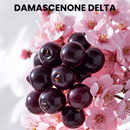 DAMASCONE DELTA