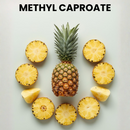 METHYL CAPROATE
